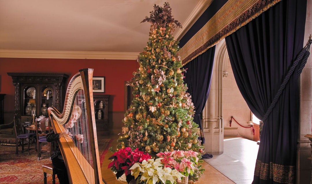 Staff favorites: Harpist playing in the Third Floor Living Hall