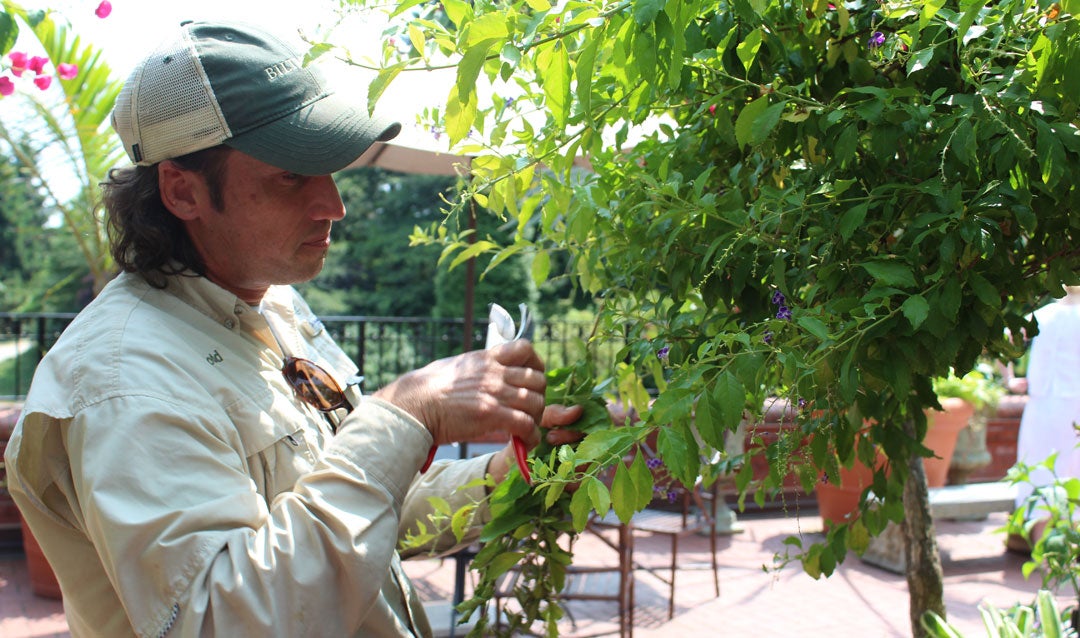 Todd Roy checks plantings behind the Conservatory