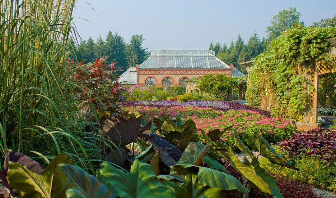 Lush summer blooms in the Walled Garden at Biltmore