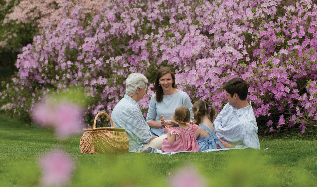 Spring picnic in Biltmore's Azalea Garden