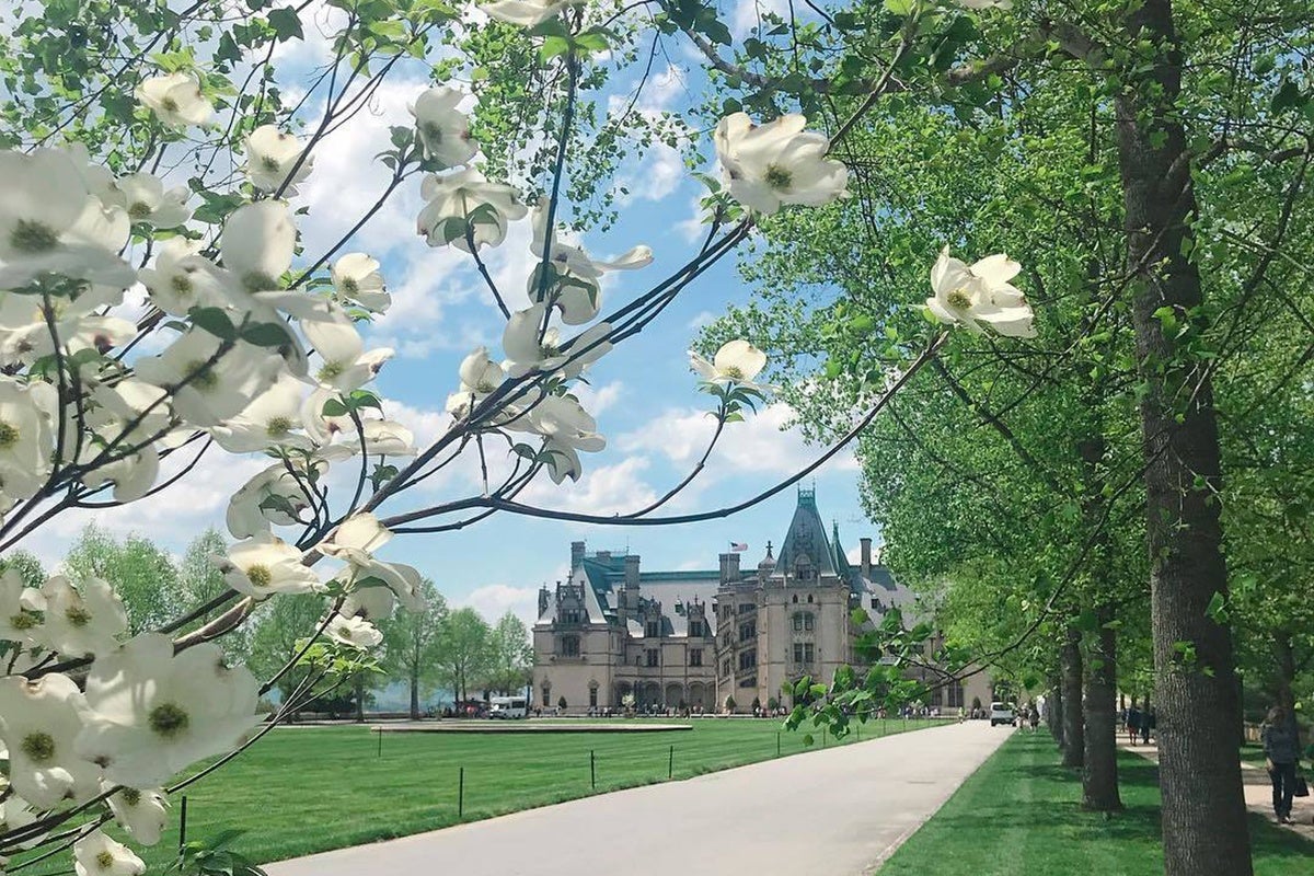 Bloom Report Biltmore