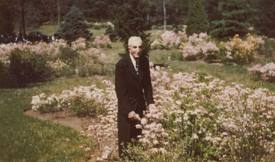 Chauncey Beadle in the Azalea Garden, 1948