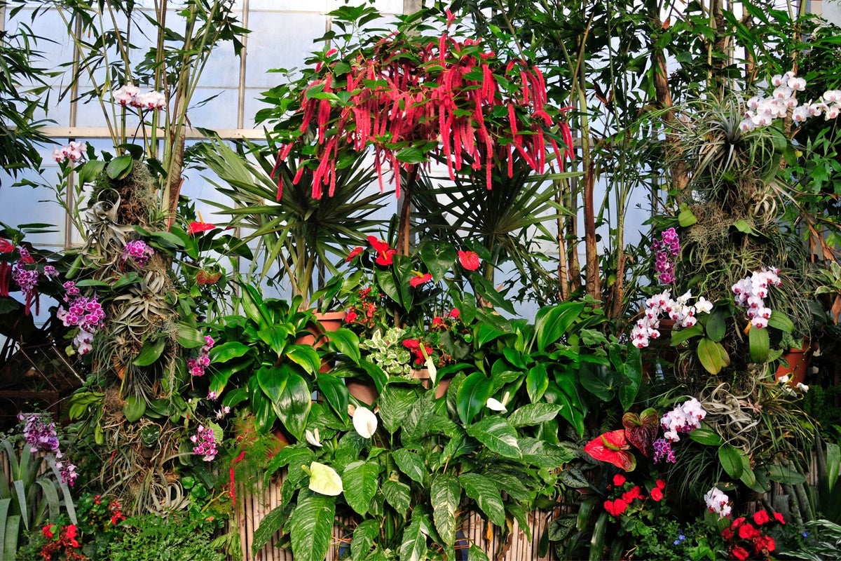 Bloom Report Biltmore