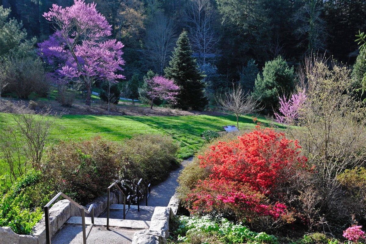 Bloom Report Biltmore