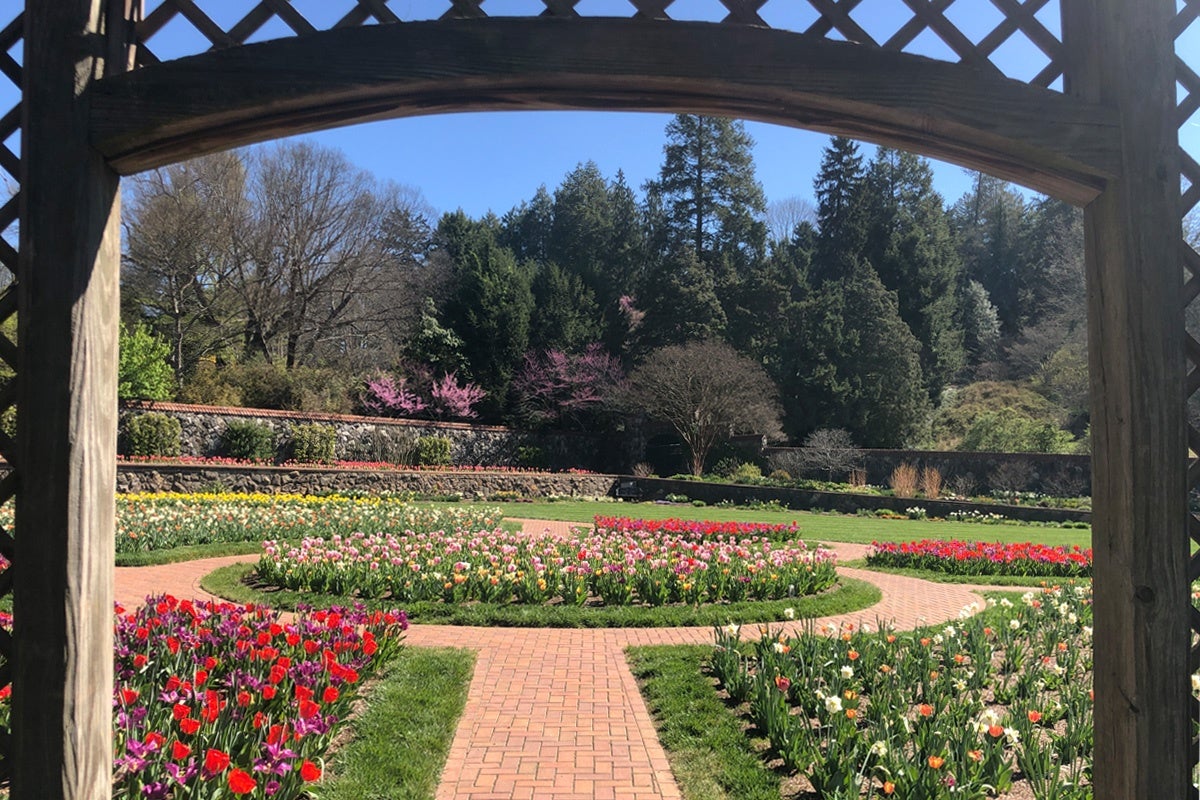 Bloom Report Biltmore