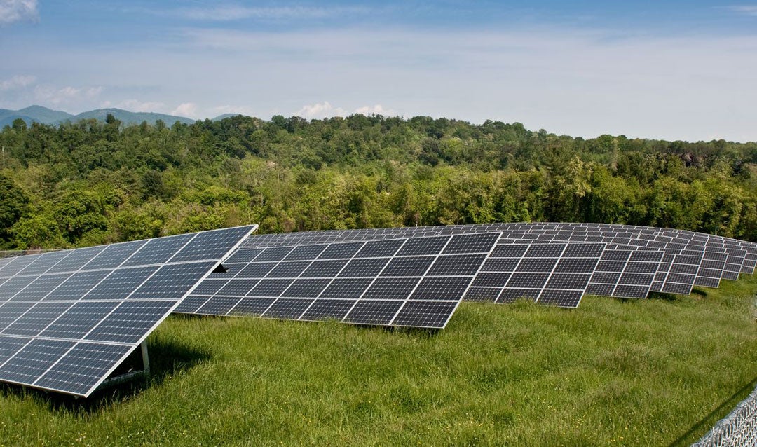 Solar panels at Biltmore