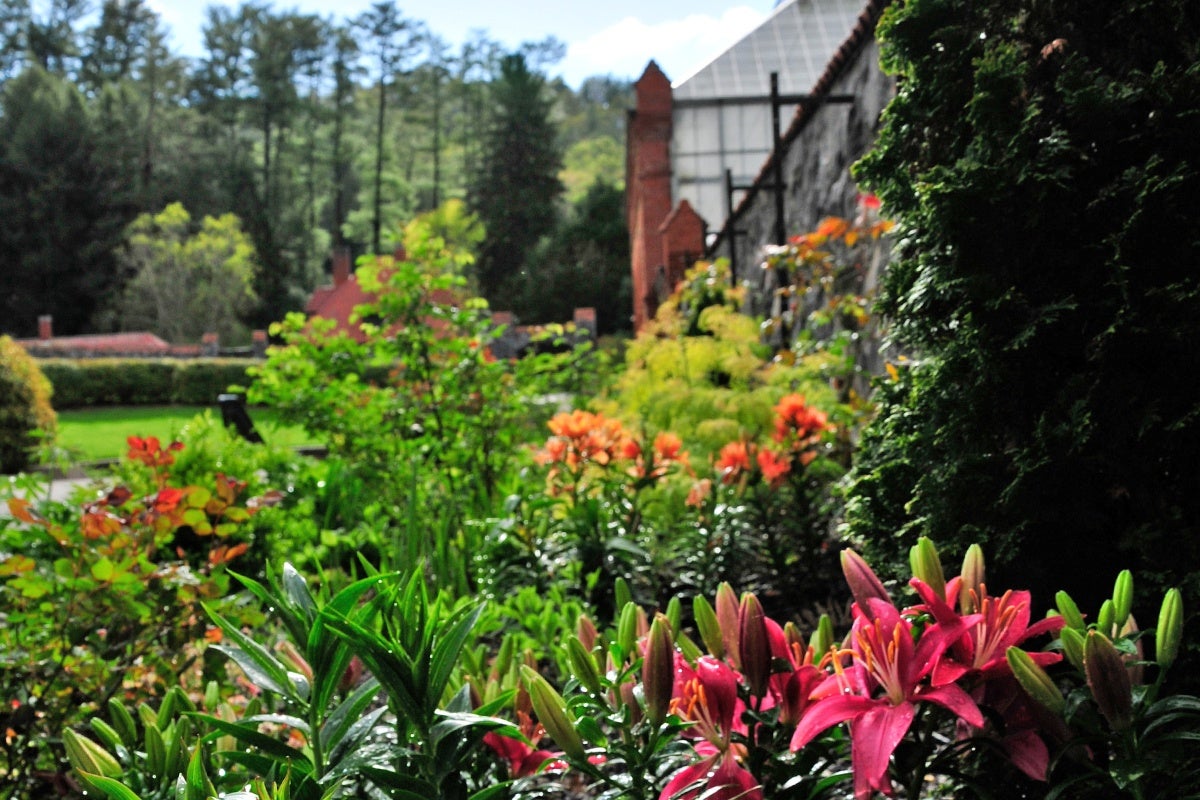 Bloom Report Biltmore