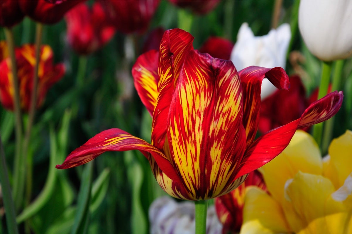 Bloom Report Biltmore