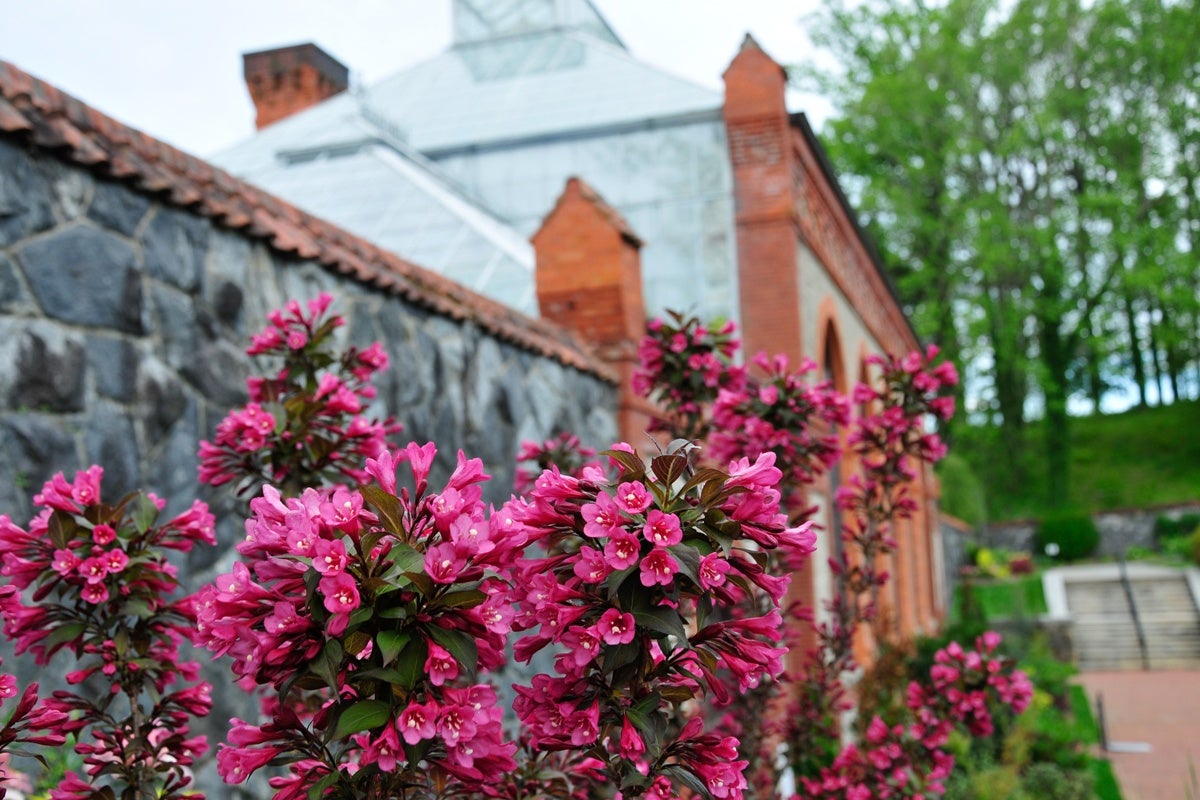 Bloom Report Biltmore