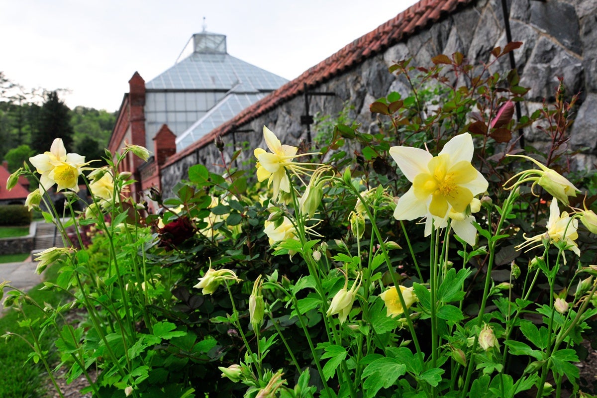 Bloom Report Biltmore