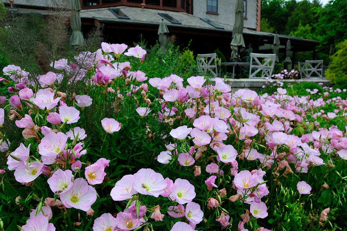 Bloom Report Biltmore