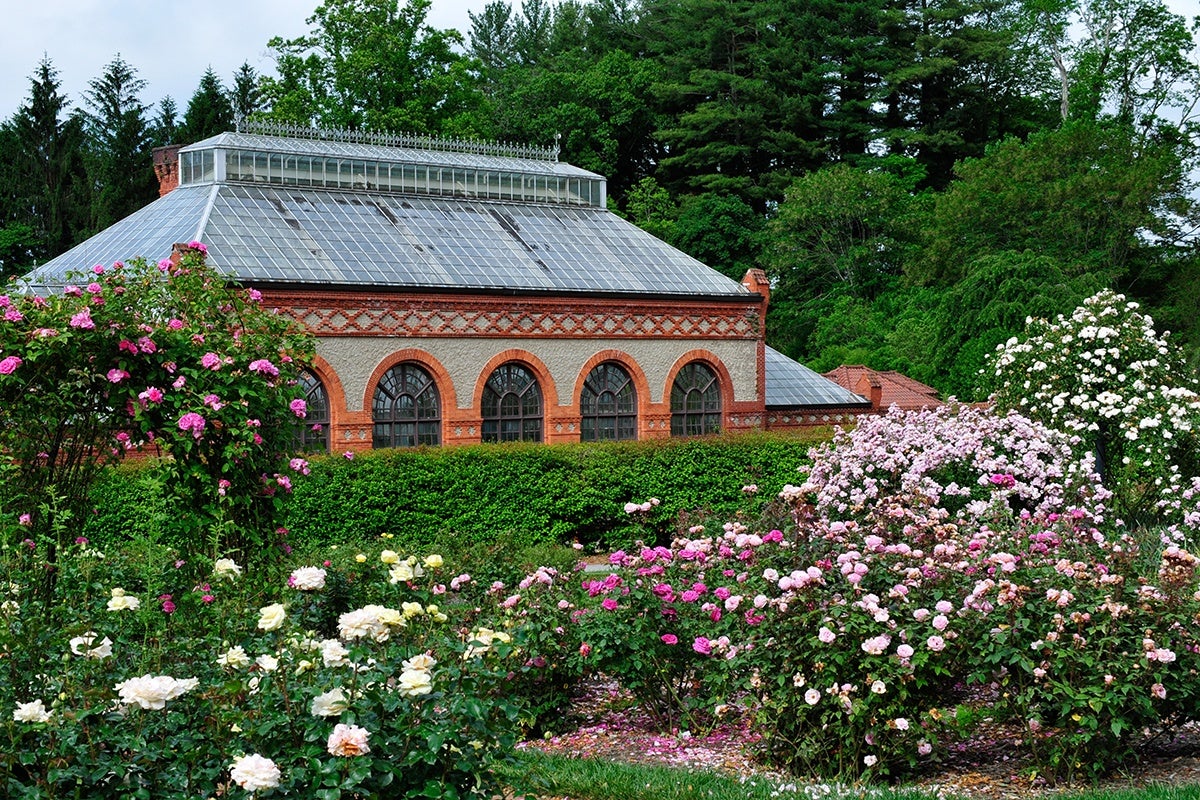 Bloom Report Biltmore