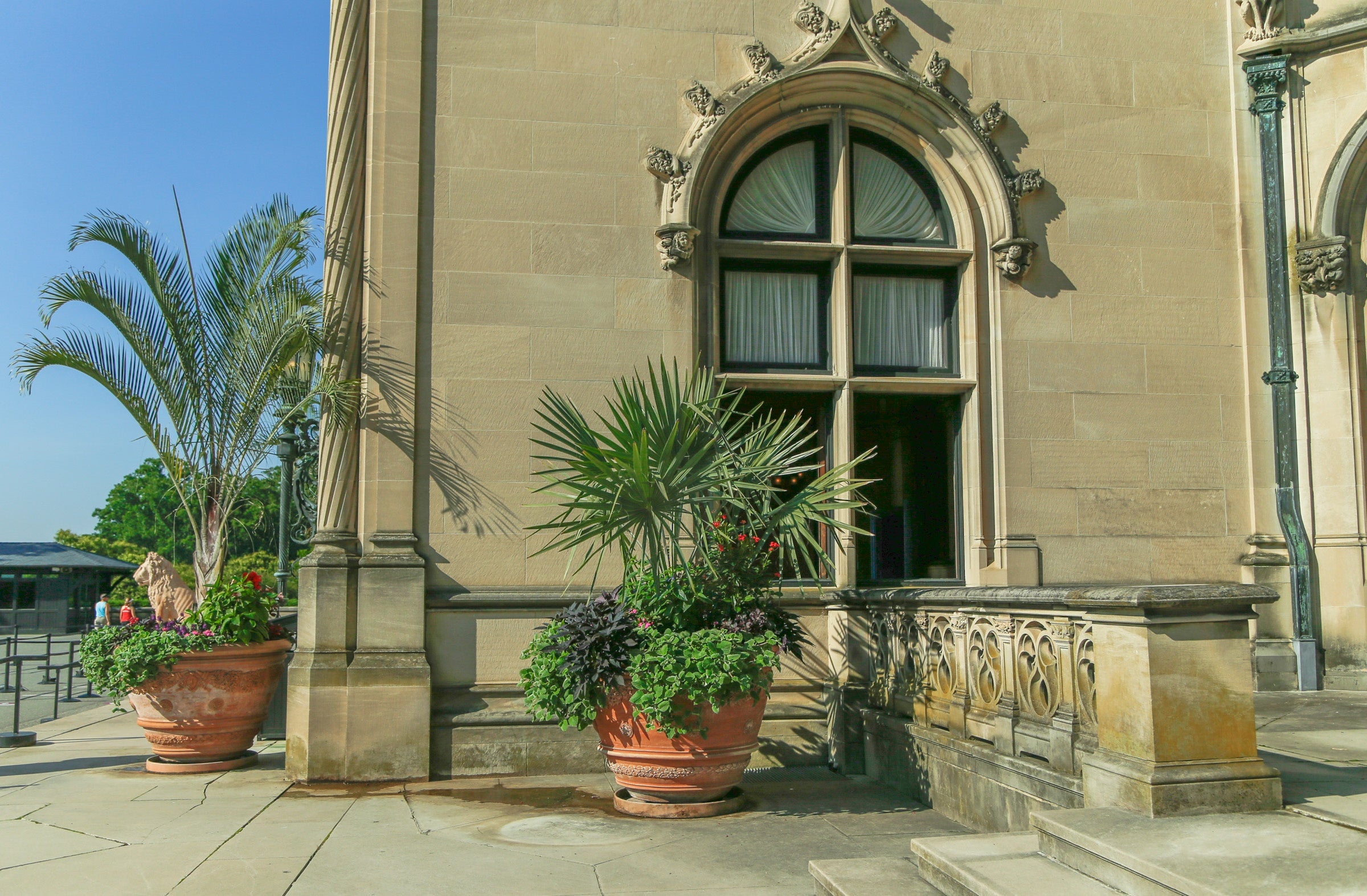 Photos of large potted plants in front of Biltmore