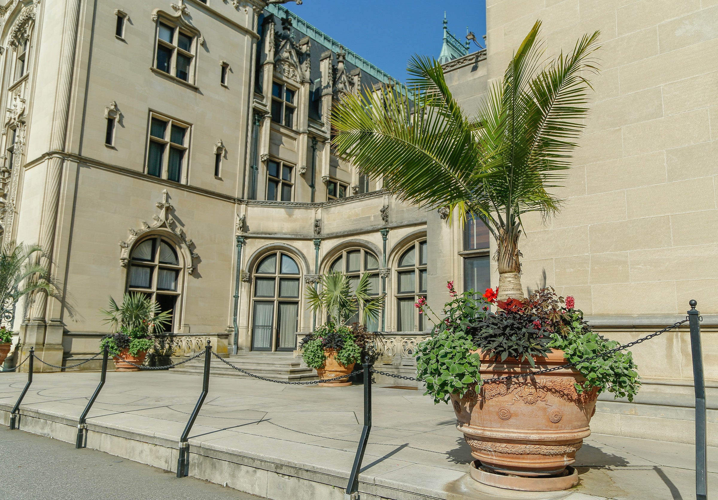 Photo of the side of front of Biltmore House with large potted plants.