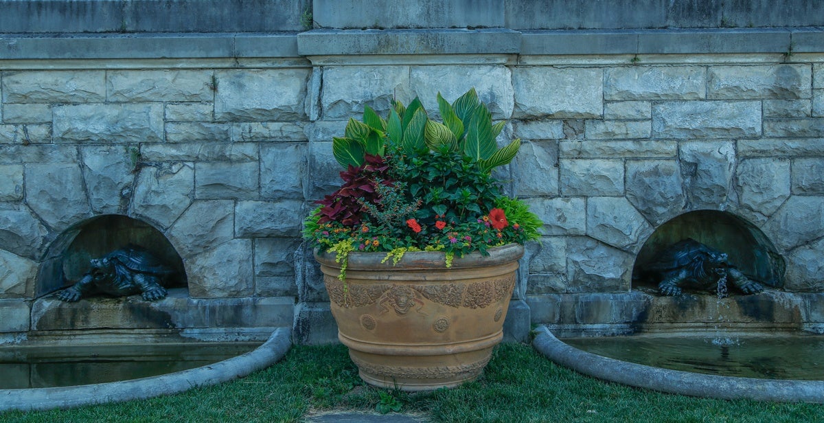 Picture of large potted plants at Biltmore.