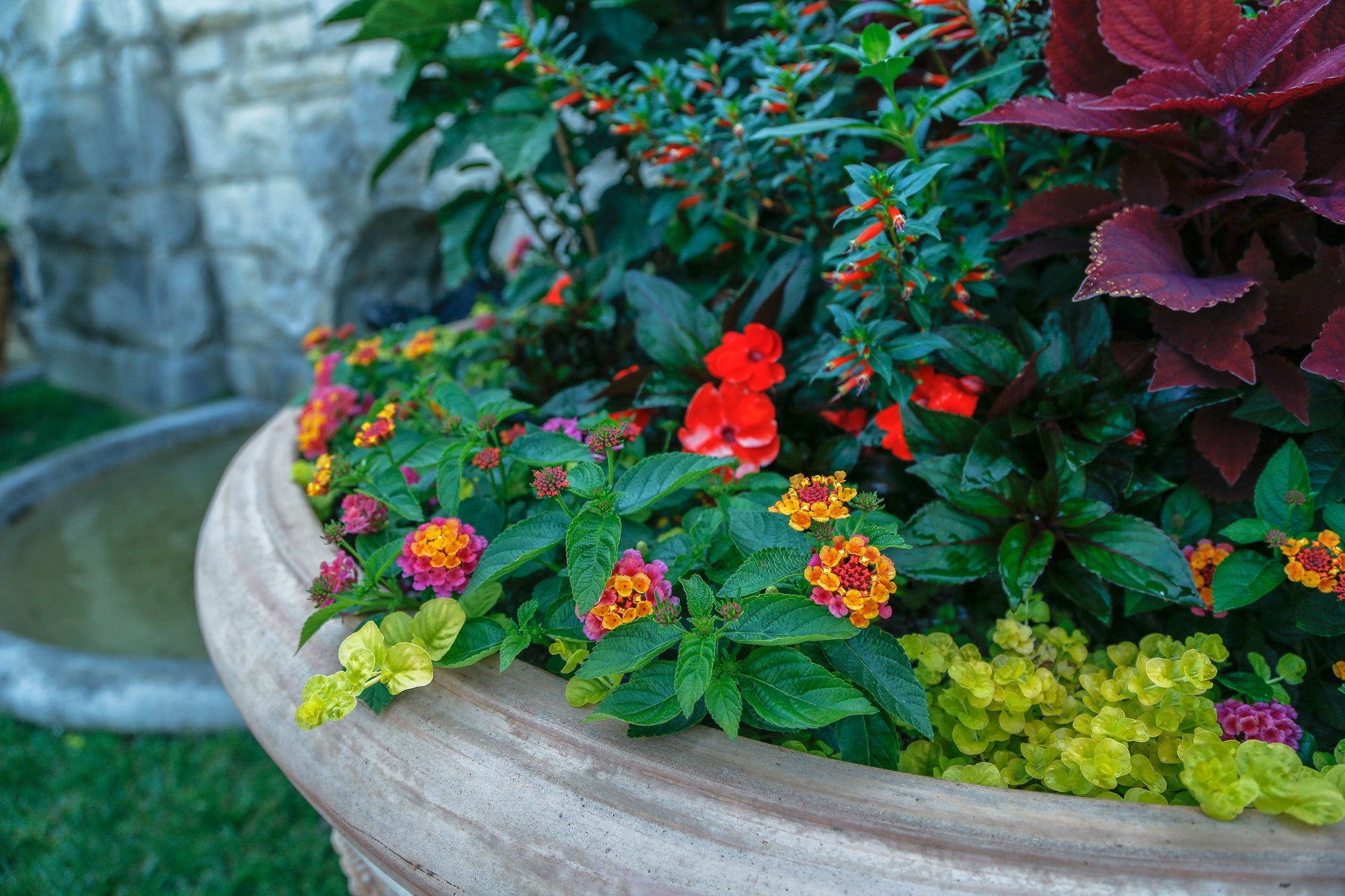 Photo of beautiful flowers ranging in size, shape, and color.