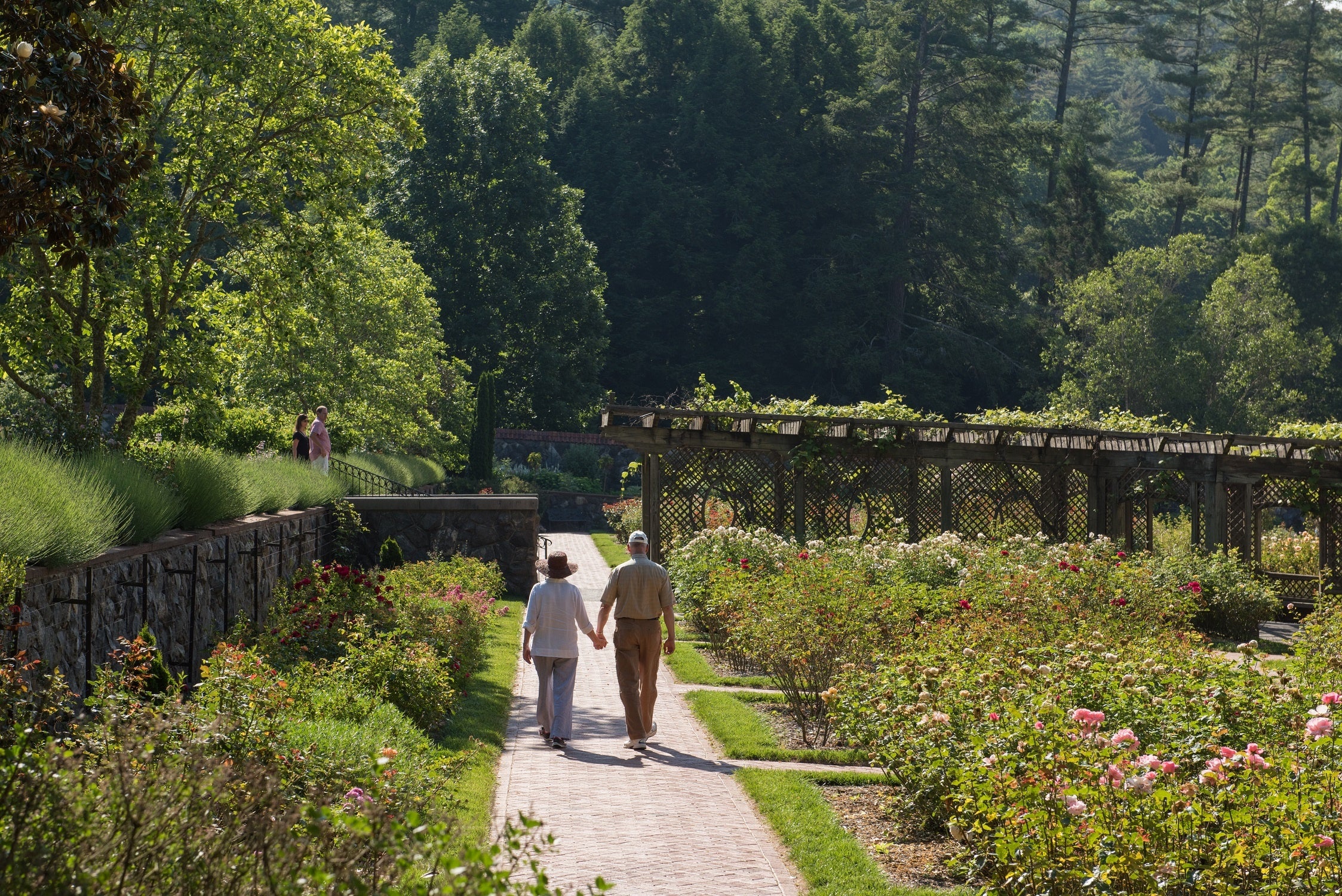 Walled-Garden-Guests