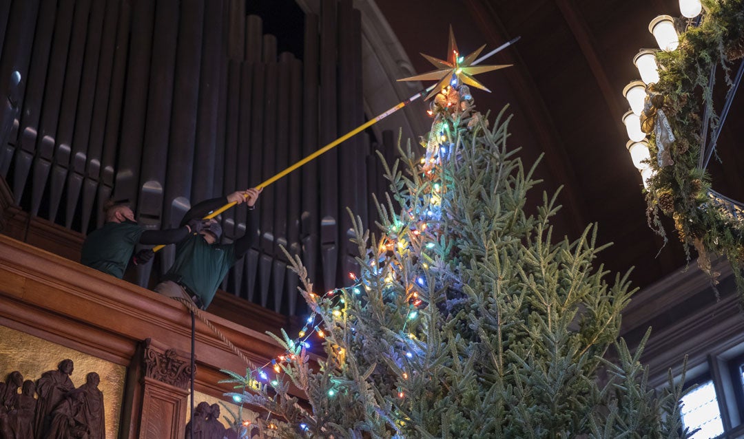 Hanging Christmas lights on the Banquet Hall tree in Biltmore House