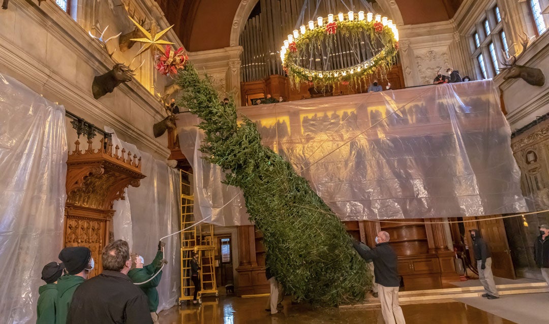 Celebrate Biltmore's tree-raising tradition virtually
