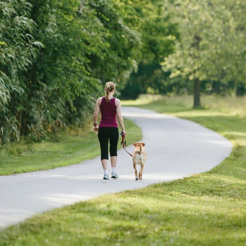 Biltmore trail guide: 22 miles to explore