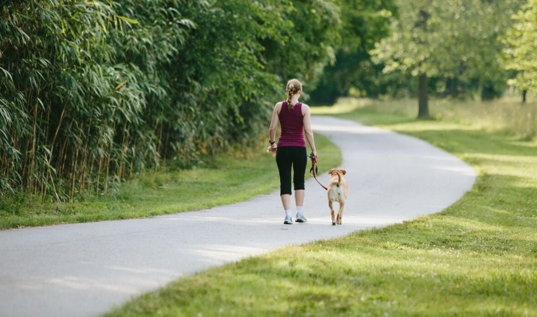 Woman walking with a leashed dog on a paved trail at Biltmore.