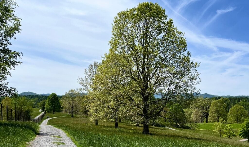 The Deer Park Trail at Biltmore.