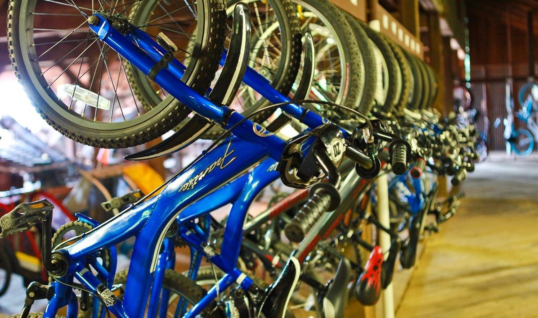 Mountain Bikes in Bike Barn