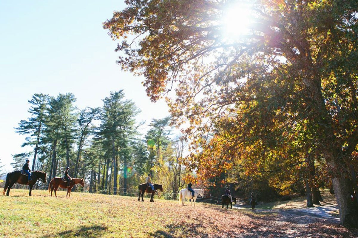 people on horseback on the estate