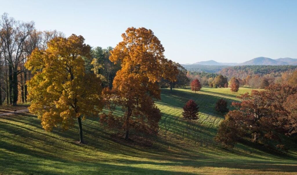 South Terrace Fall View at Biltmore