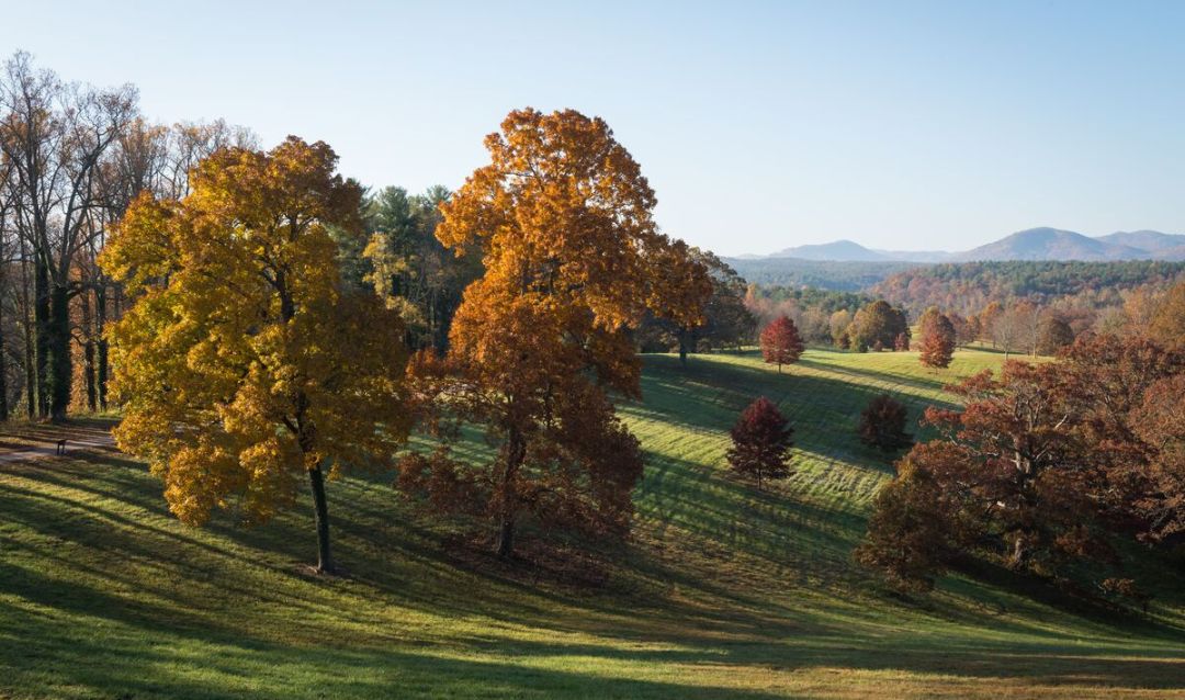 South Terrace Fall View at Biltmore