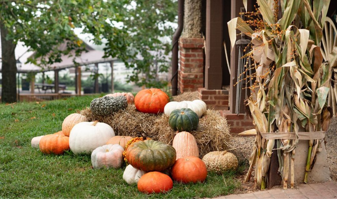 Fall Decor at Antler Hill Village at Biltmore Estate