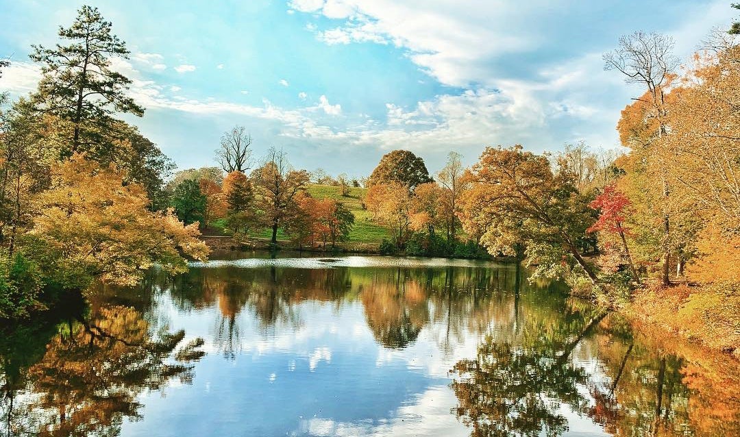 Bass Pond fall