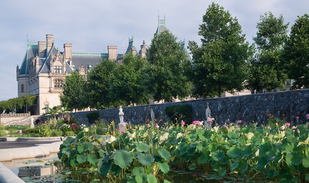 Summertime blooms in Biltmore's Italian Garden