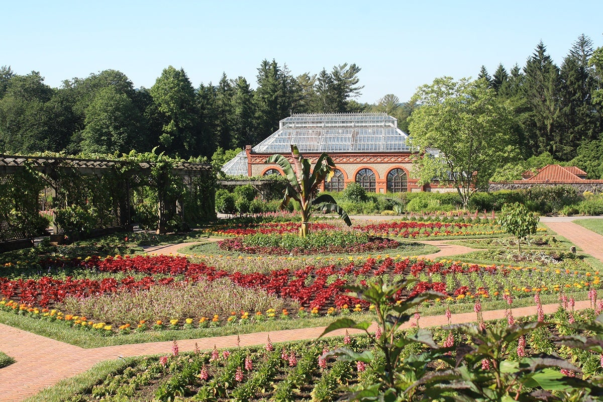 Bloom Report Biltmore