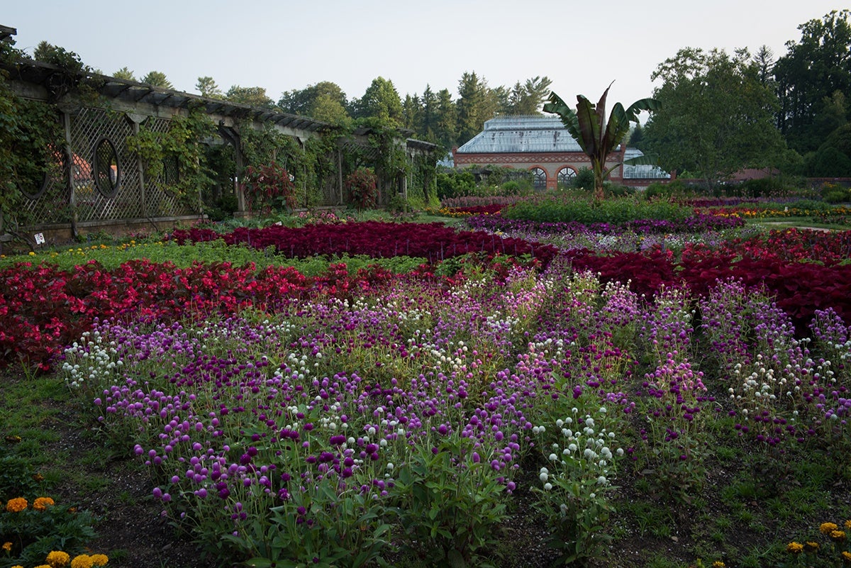 Bloom Report Biltmore