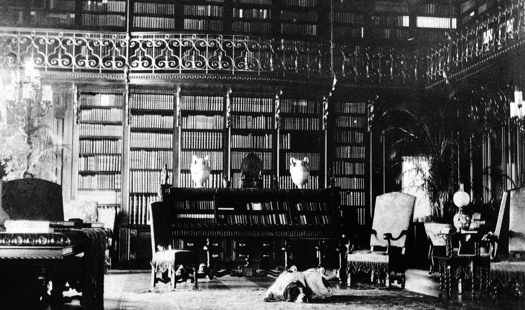 Cedric, George Vanderbilt’s beloved Saint Bernard, lounging in the Library, 1898