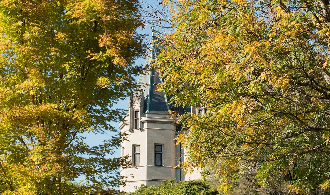 The golden-rain tree (right) can be found in Biltmore’s Shrub Garden.