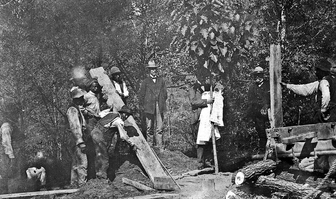 The planting ceremony for Cornelia's Baby Tree, October 1900