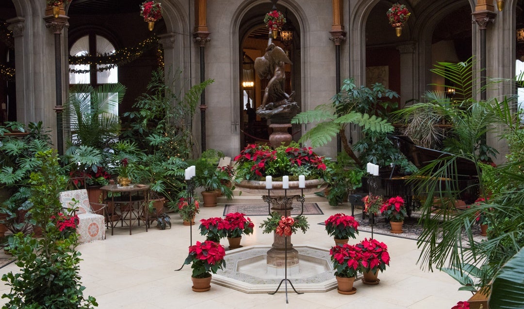 Blooming poinsettias surround Karl Bitter’s Boy Stealing Geese in the Winter Garden.