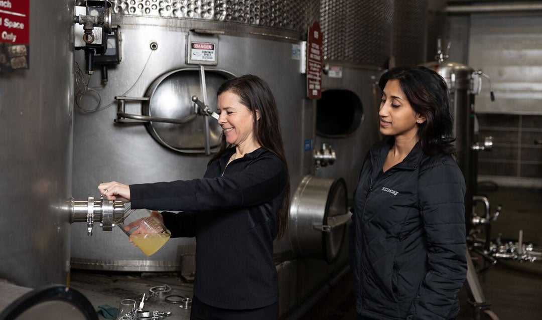 Biltmore wine team at work in the tank room