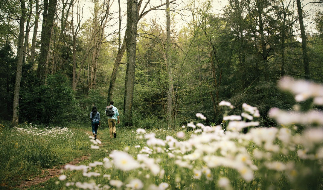 Couple hiking in the woods at Biltmore