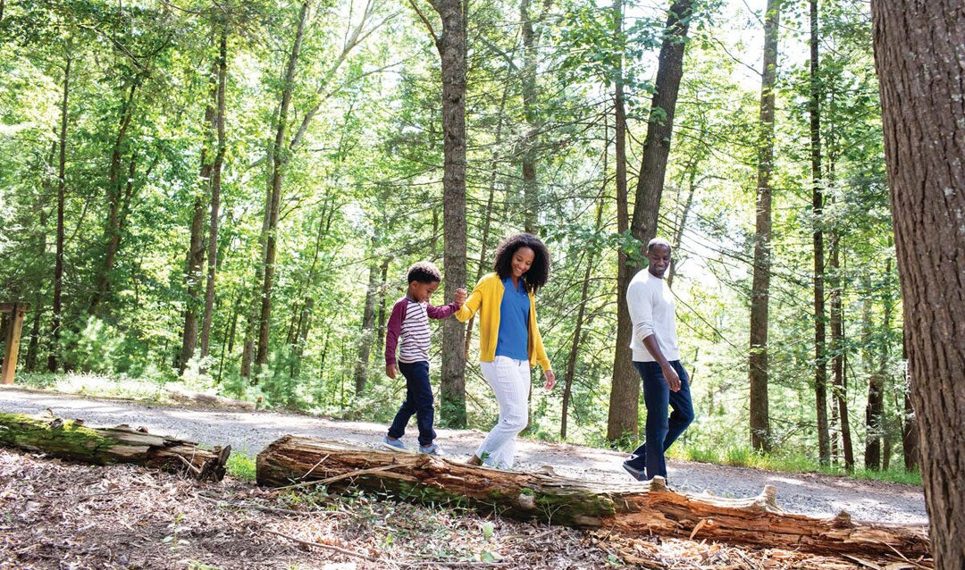 Family walking in Olmsted's mature landscape design at Biltmore