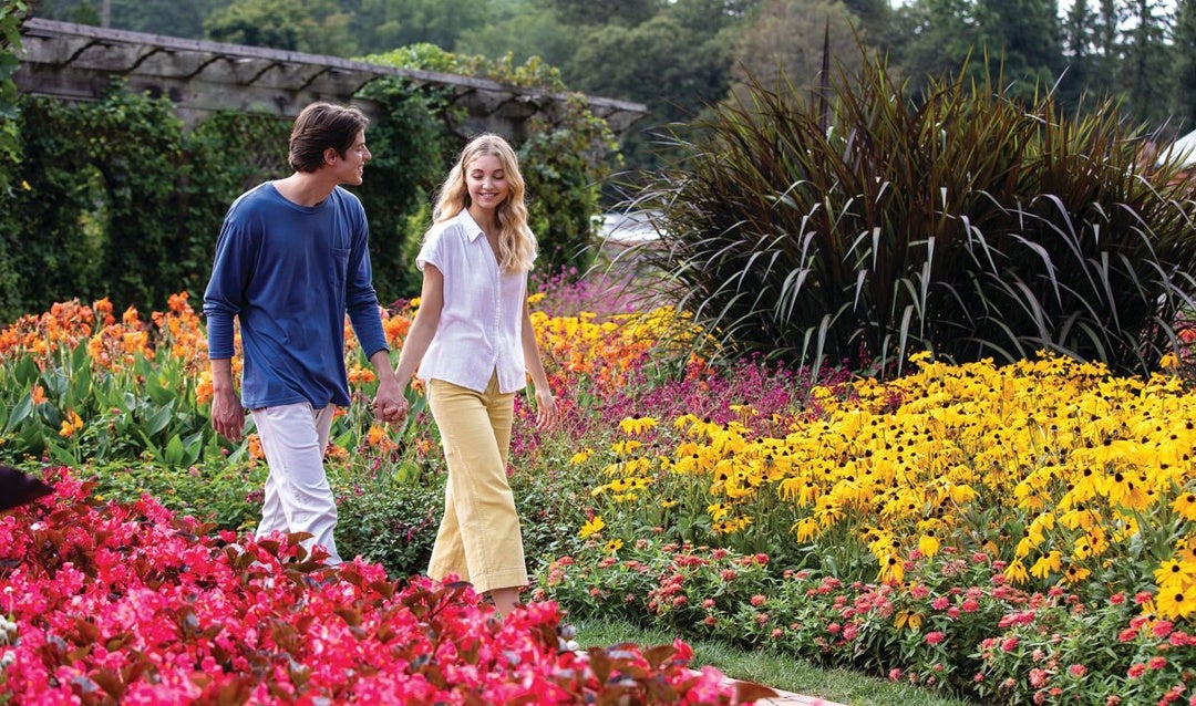 This rare opportunity allows you to continue to explore our gardens at your leisure when they’d normally be closing for the day.