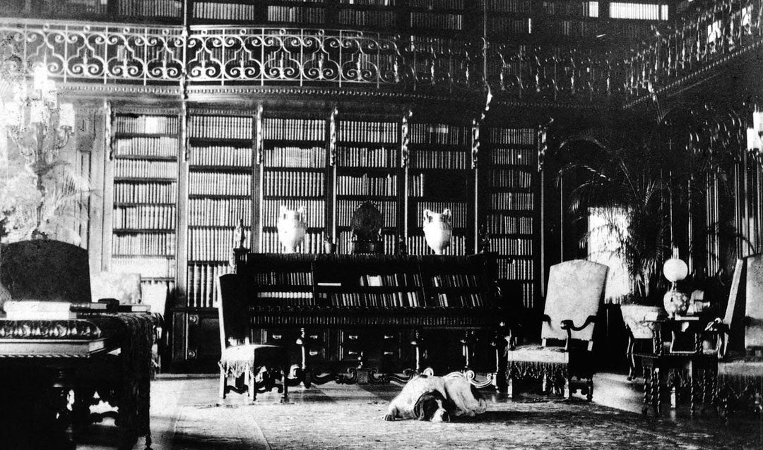 Cedric dozing in the Library of Biltmore House, ca. 1896. The beloved St. Bernard was known to sprawl out and relax where ever George Vanderbilt was.