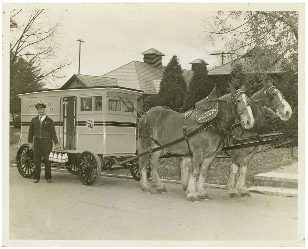 Biltmore Dairy An Udderly Fascinating History Biltmore