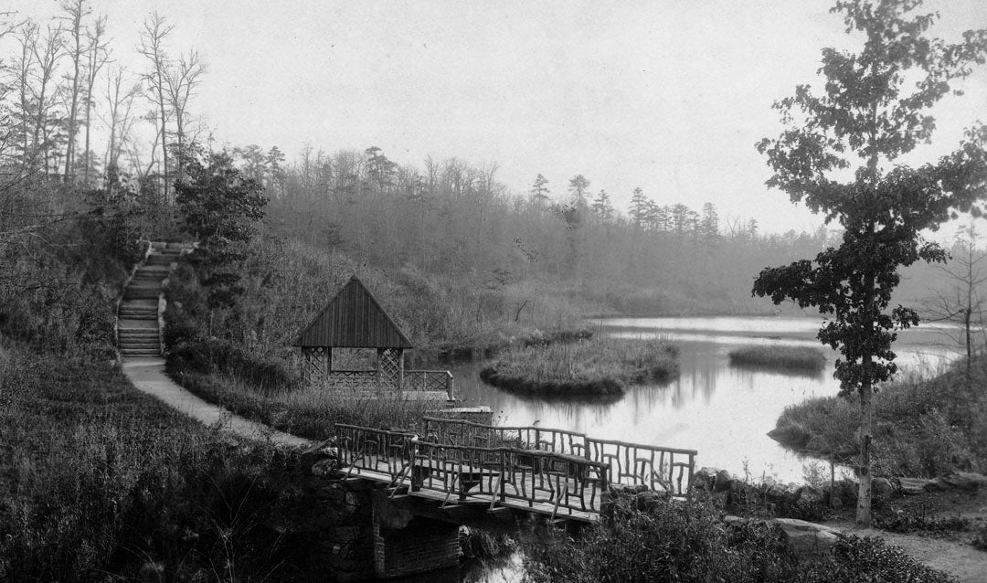 Archival bass pond image