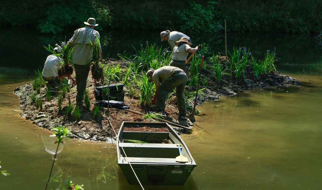 New Bass Pond island almost complete