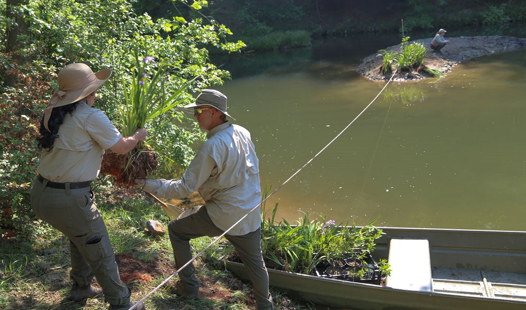 Transporting plants in the bass pond