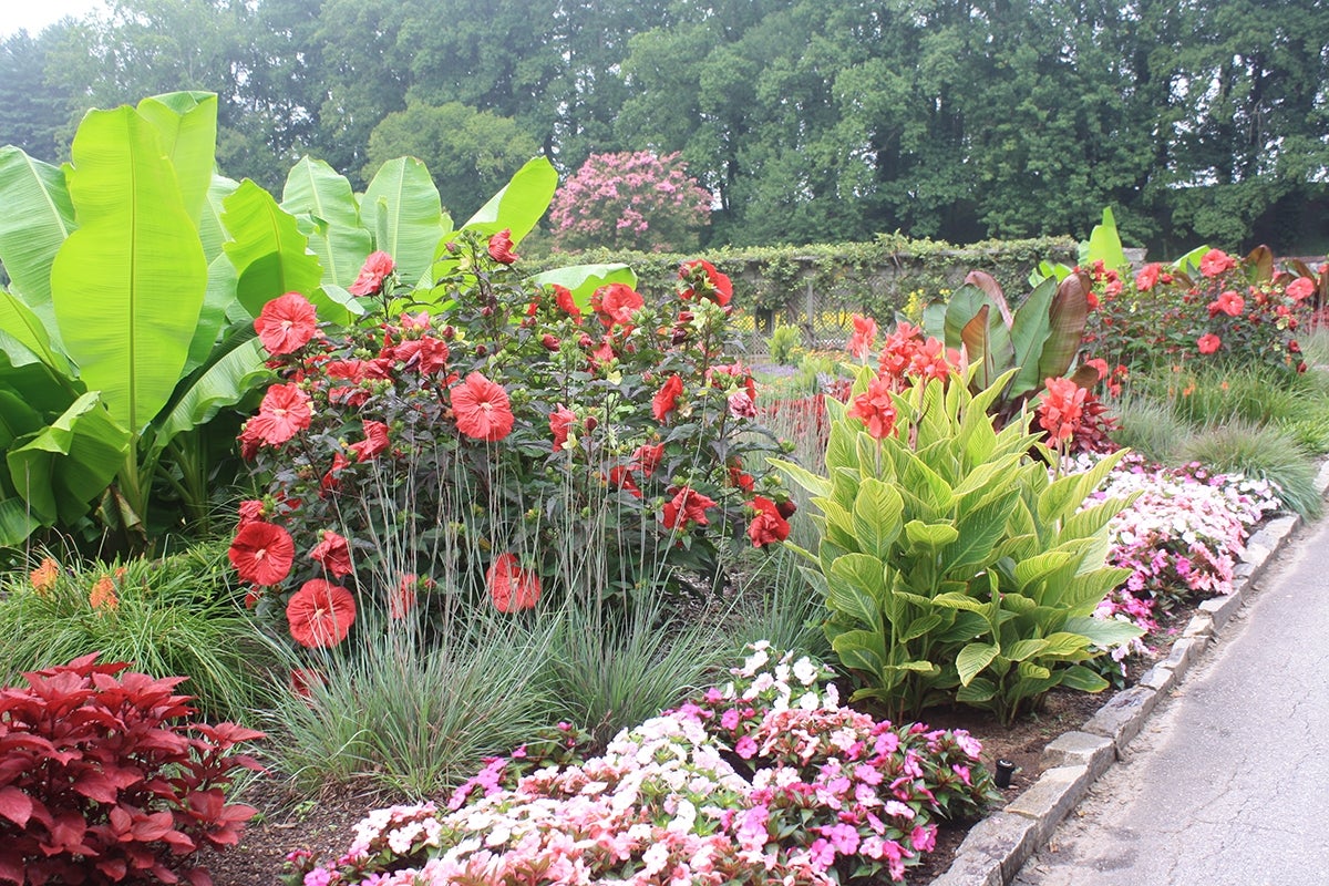 Bloom Report Biltmore