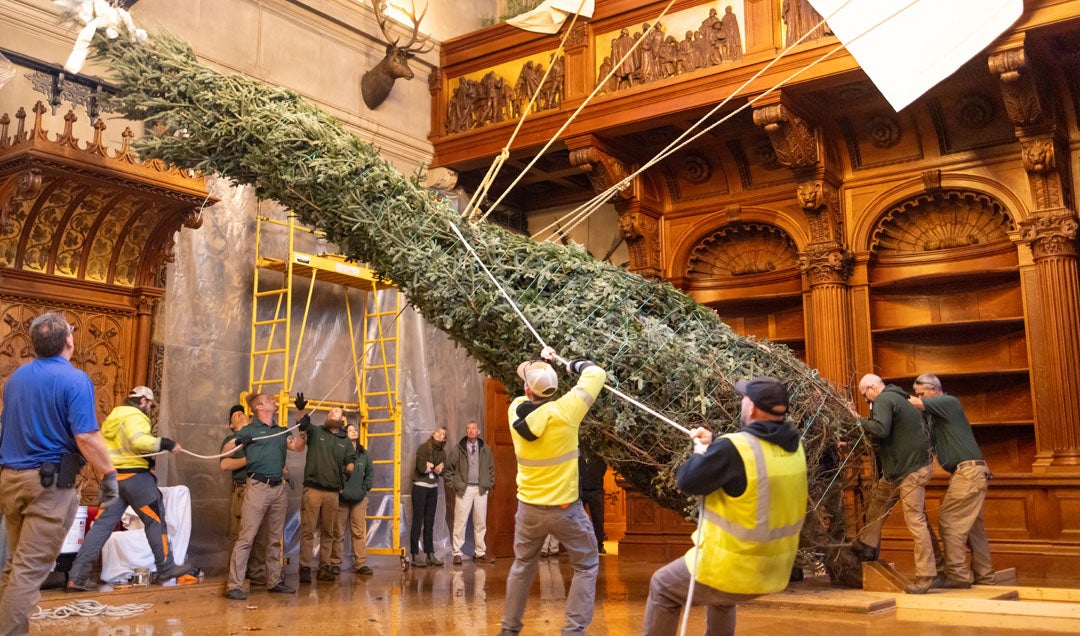 Staff help raise the Banquet Hall tree